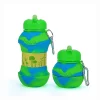 Silicone Water Bottle