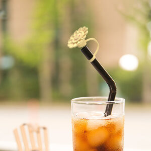 LYA straw caps