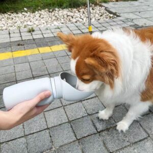 Silicone Pet Travel Water Bottle