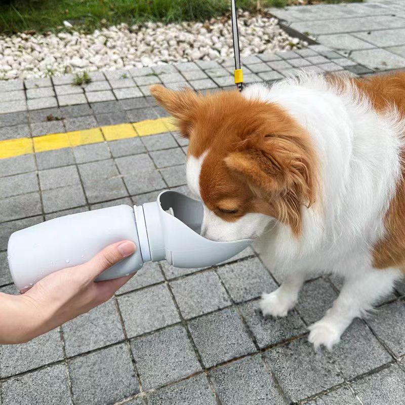 Silicone Pet Travel Water Bottle