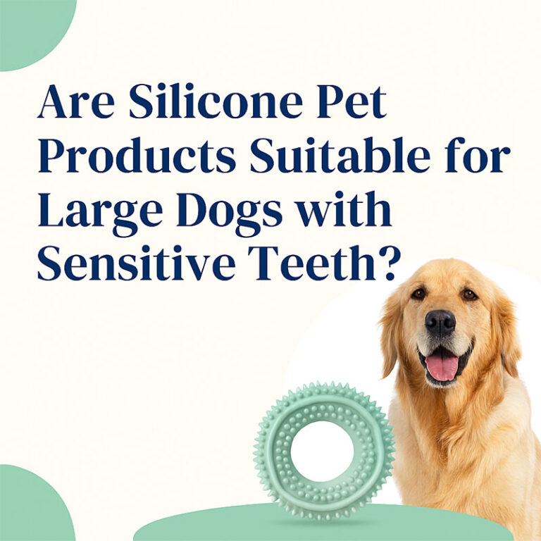 Hard plastics may cause gum irritation or even micro-cracks in teeth.